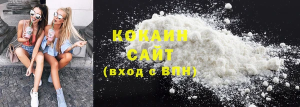 ГАЛЛЮЦИНОГЕННЫЕ ГРИБЫ Арсеньев