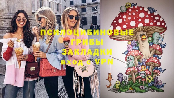 ГАЛЛЮЦИНОГЕННЫЕ ГРИБЫ Арсеньев