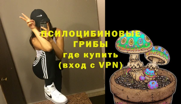 ГАЛЛЮЦИНОГЕННЫЕ ГРИБЫ Арсеньев