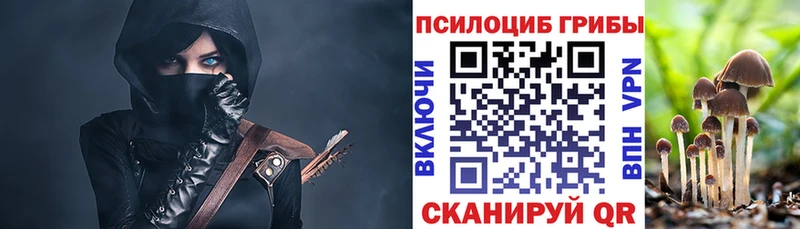 купить   darknet как зайти  Псилоцибиновые грибы прущие грибы  Талица 